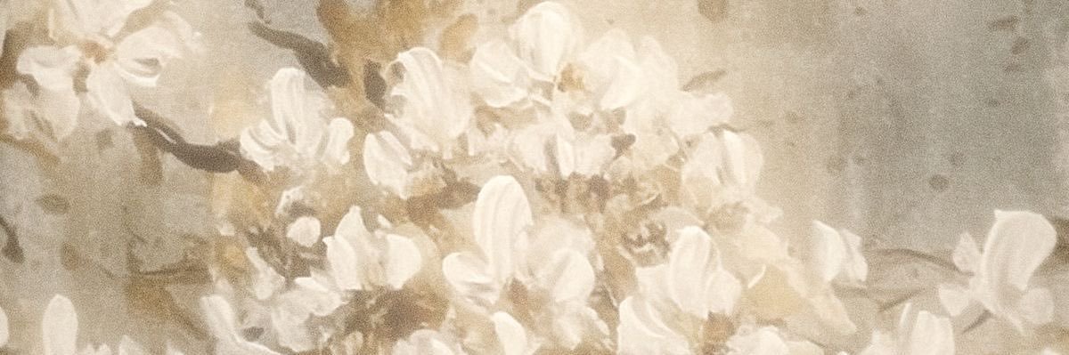 isa cries because its over ⋆˚࿔ banner