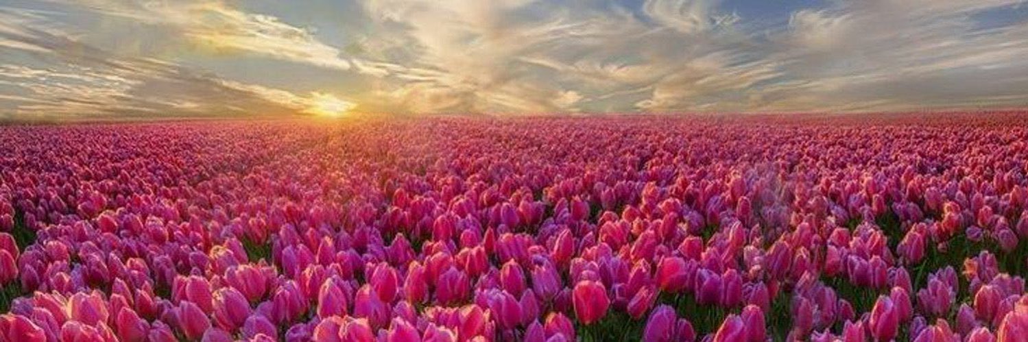 𝔸𝕕𝕣𝕪🧣 banner