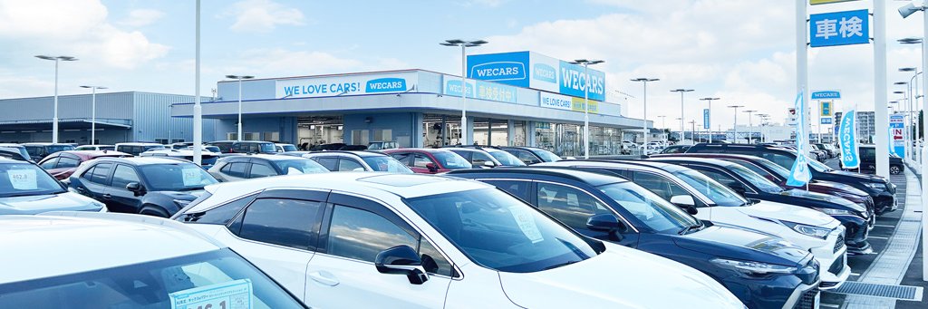 WECARS's banner