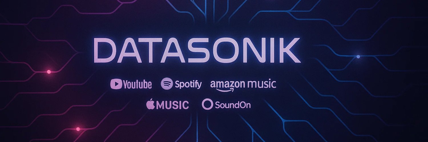 Datasonik banner