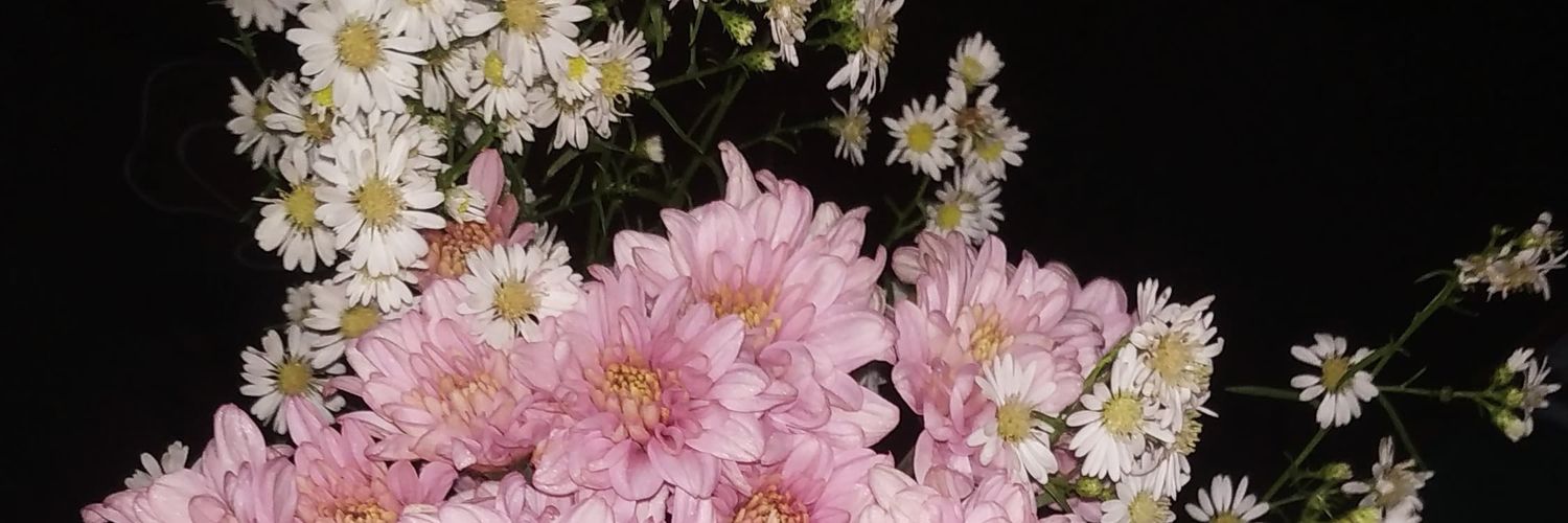 de,rahsf🩶 banner
