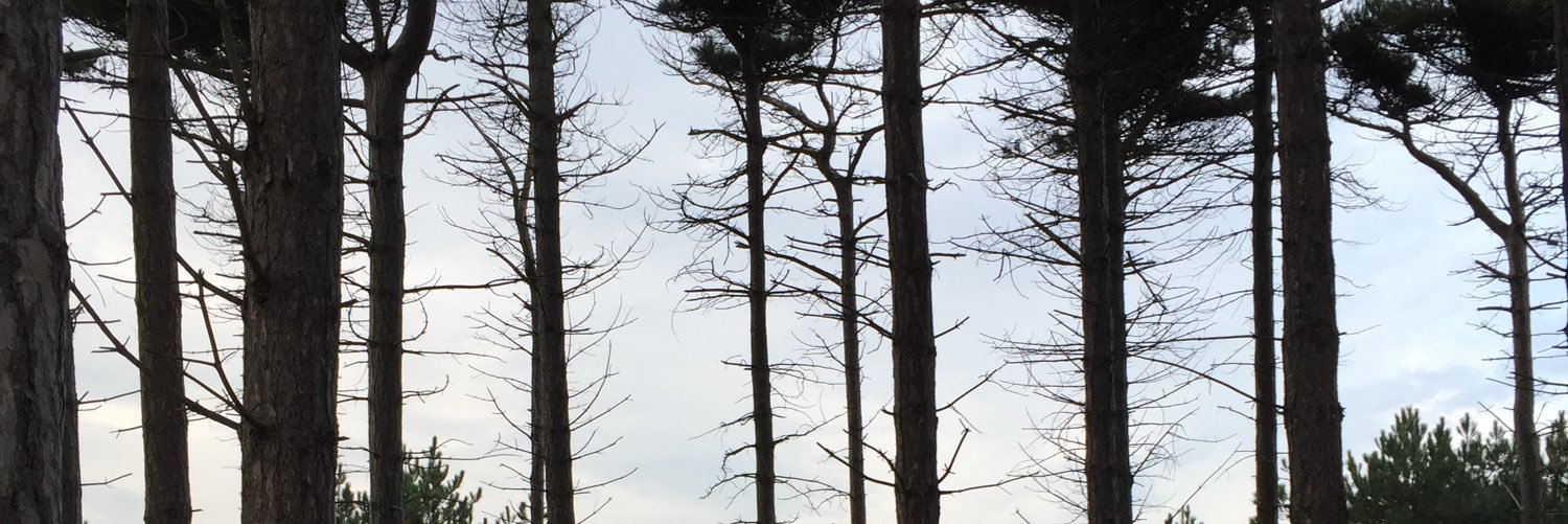 Saljam Presents... banner