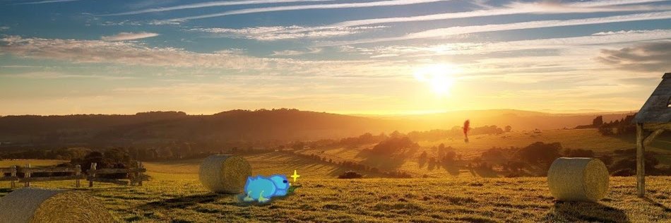 ryuuna03's profile banner image