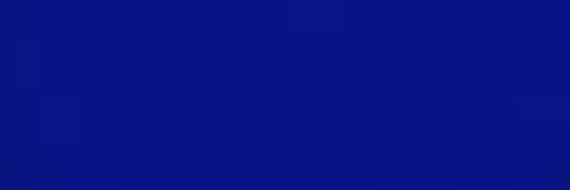 花形精 banner