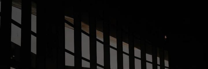 boraborapurple's profile banner image