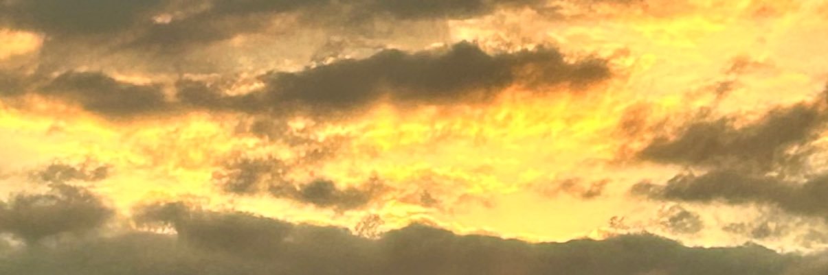 drewlynam's profile banner image