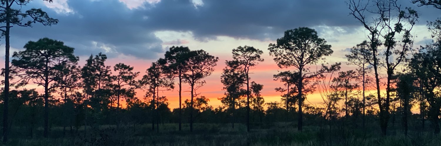 Maxinmn's profile banner image