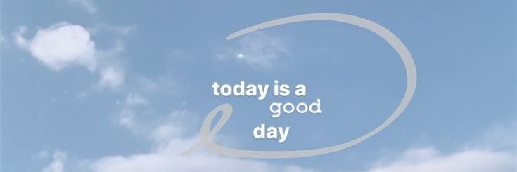 Niinan banner