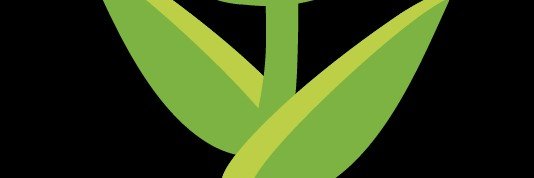 ROMUPG's profile banner image