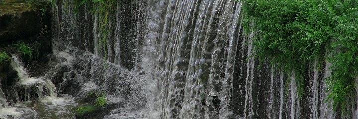 CHUSTRECE's profile banner image