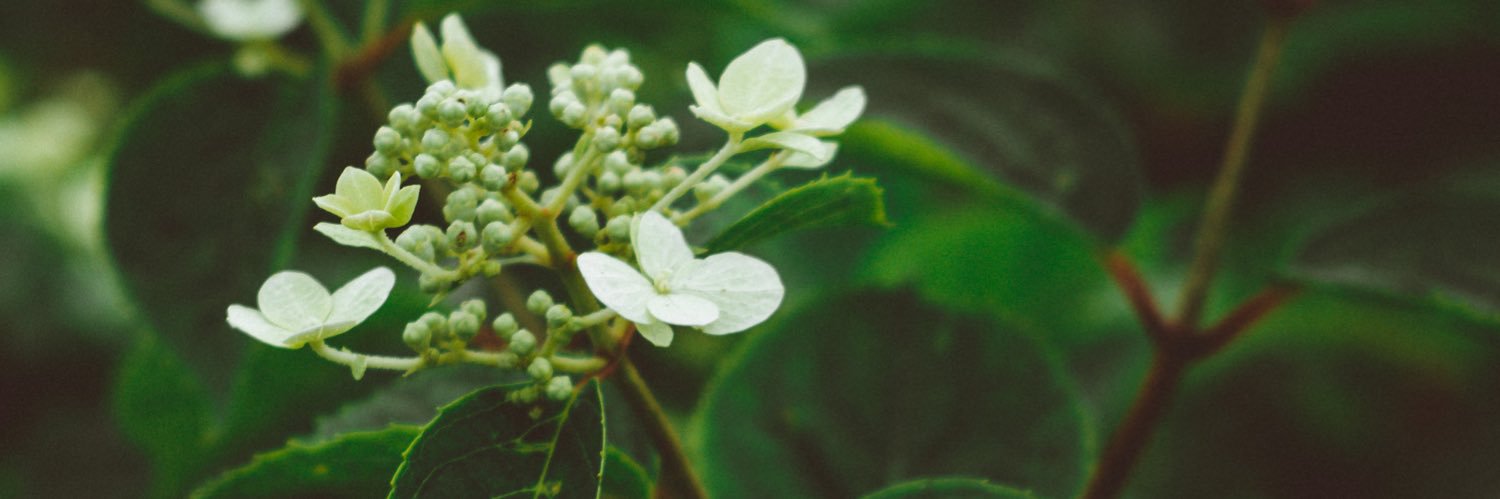 うっちー＠ニコ超両日 banner