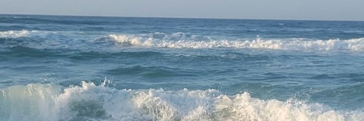 _lotusbiscoff_'s profile banner image