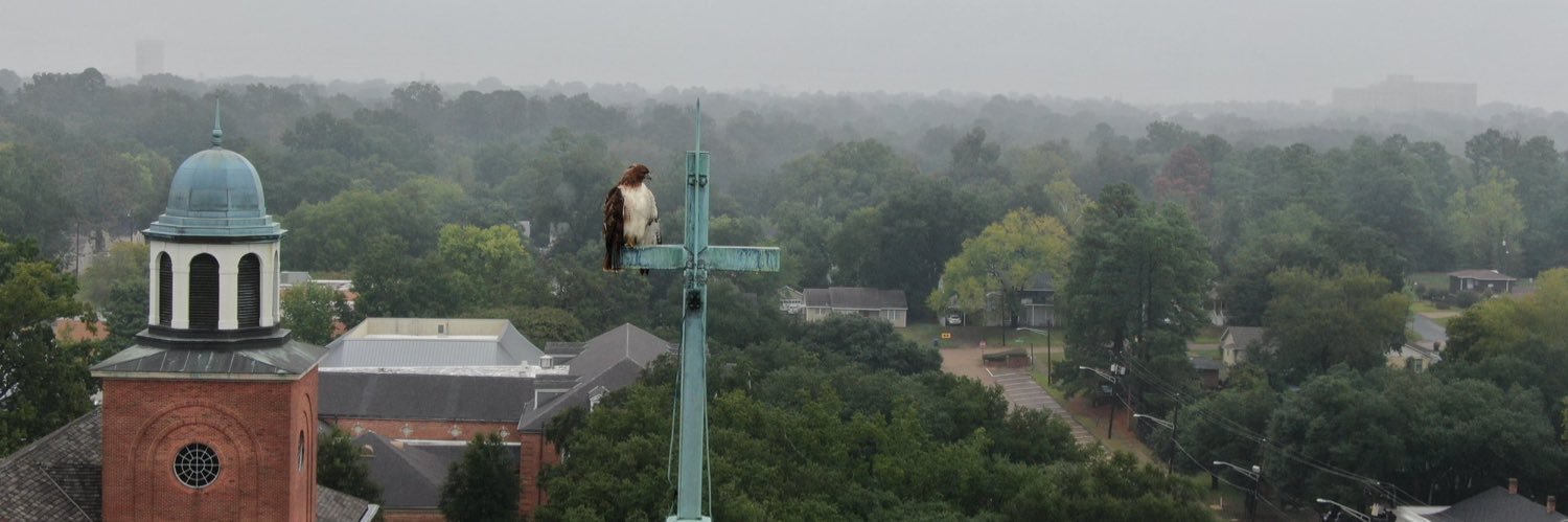 Centenary College banner