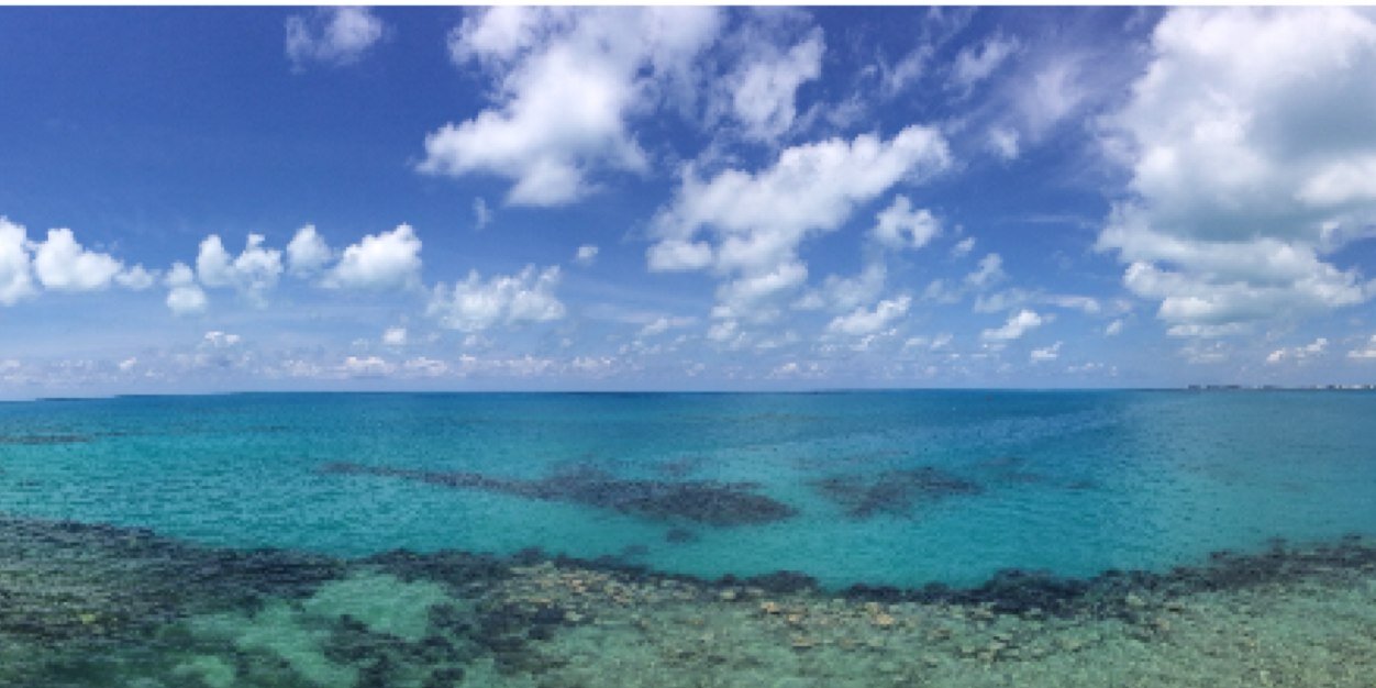 Calen Collins banner