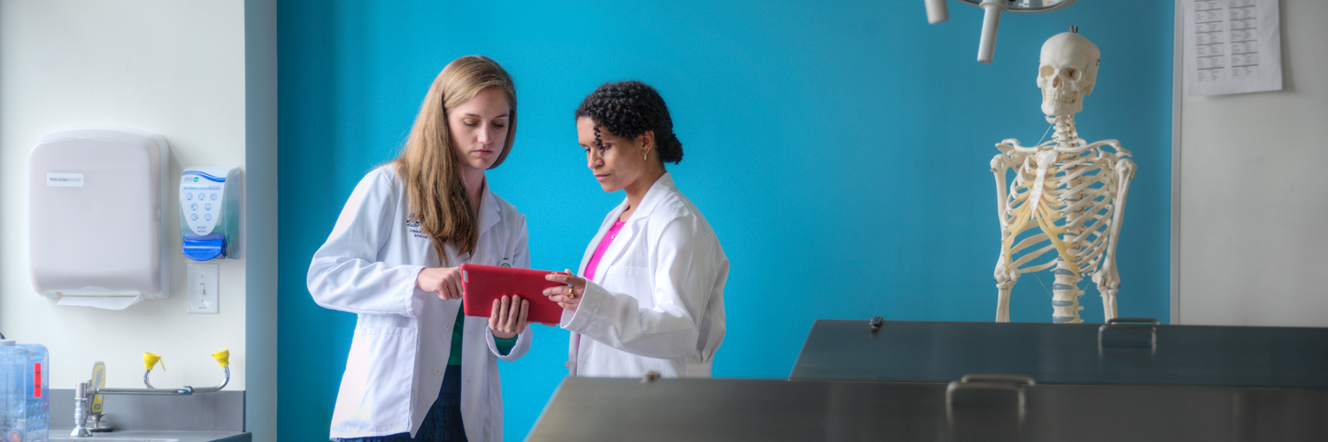 USC School of Medicine Greenville banner