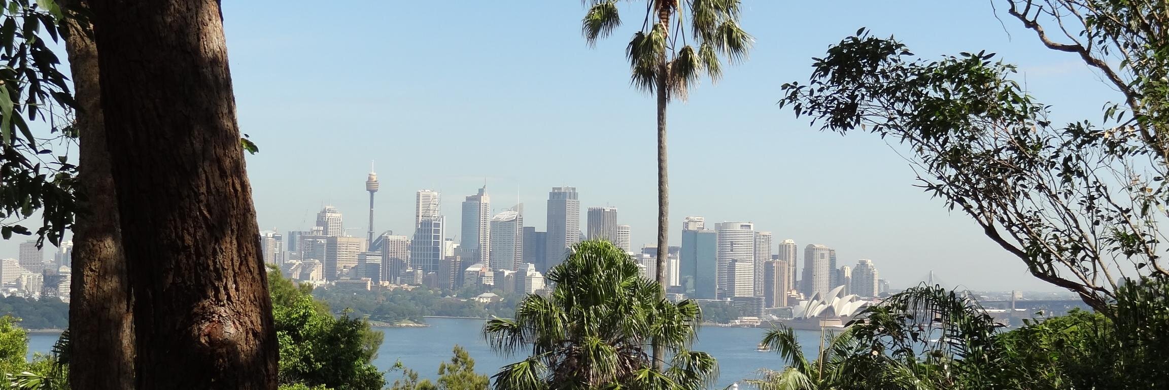 Simon Deane-Johns banner