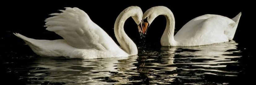 hix662's profile banner image