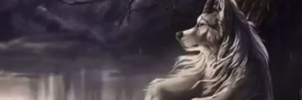 ranscn Profile Banner