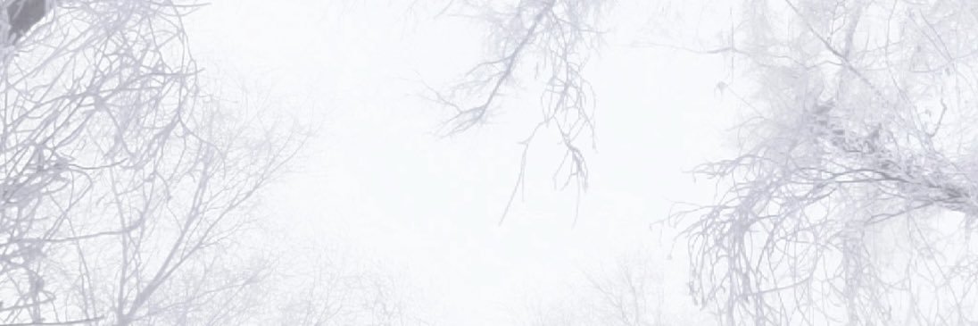 733960E's profile banner image