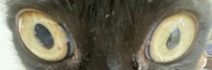 jari_ns's profile banner image