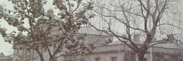 montrose_acad Profile Banner