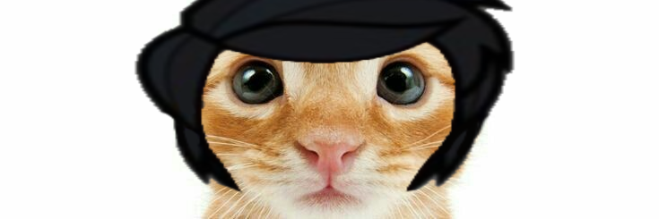 daily derek !! ⊹ ࣪ ˖'s banner