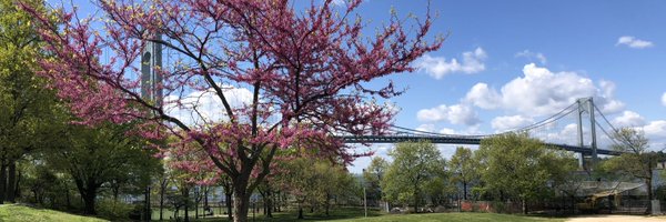 Andrew Giambrone Profile Banner