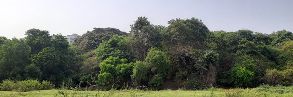 rammuladevrai Profile Banner