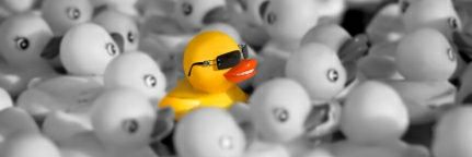 ReynaldIbrahim's profile banner image