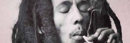 APC_Mook's profile banner image