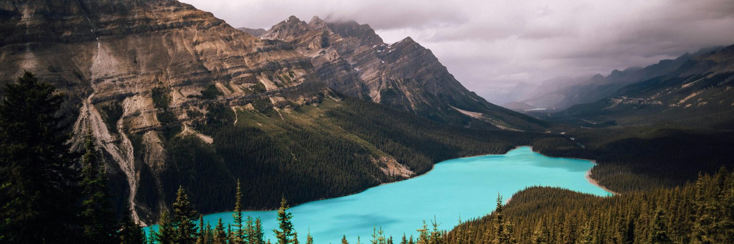 Rise Of Alberta's banner