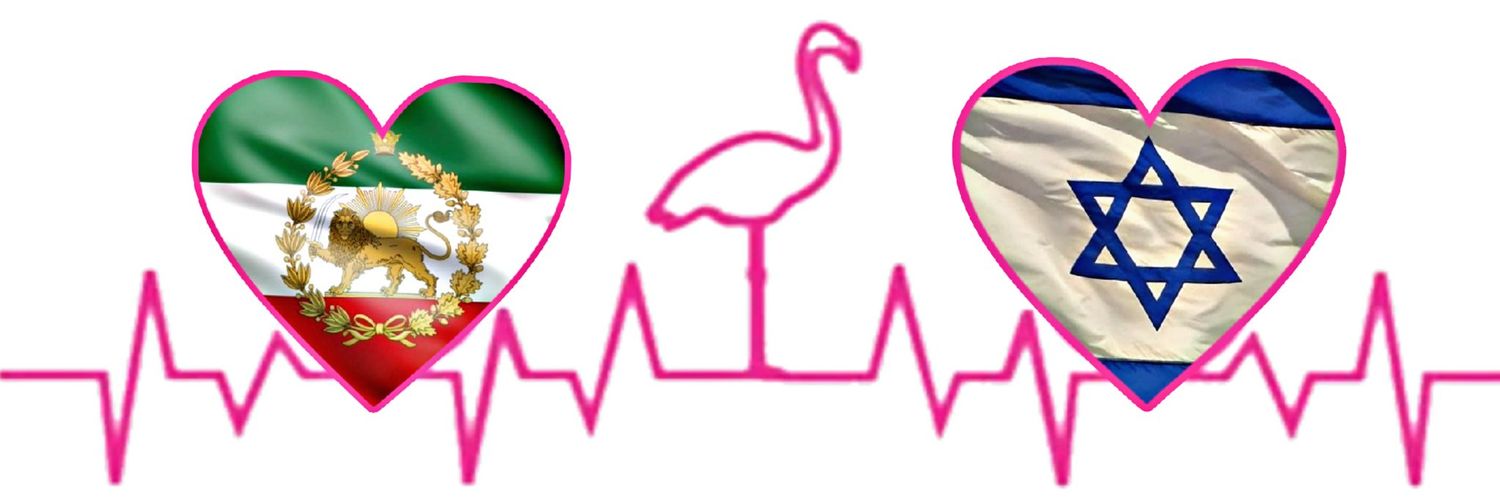 🦩فلامینگو's banner