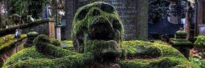 derc196's profile banner image