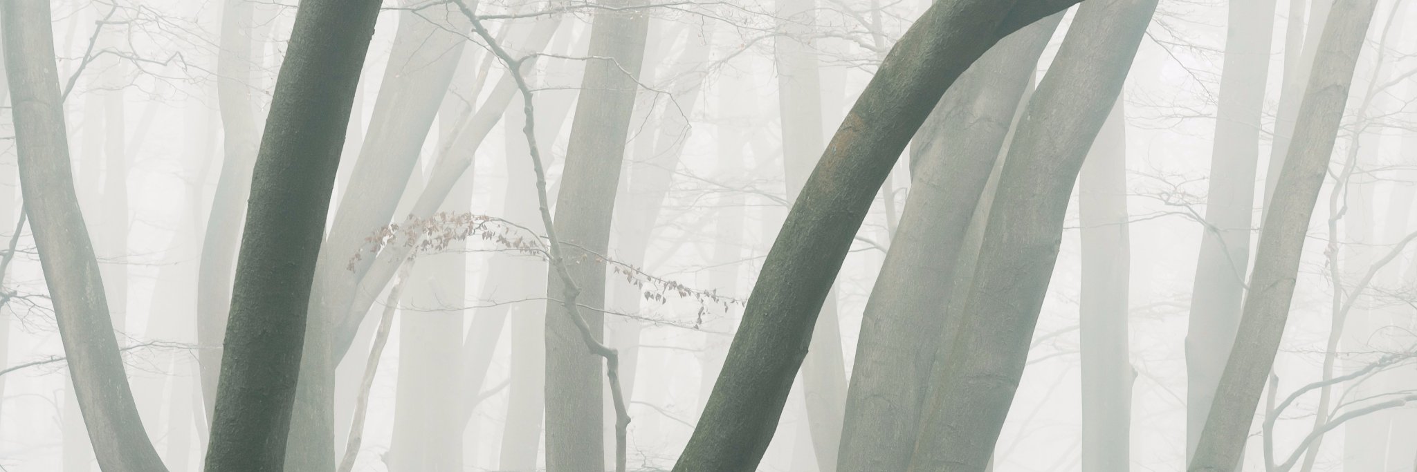 moorbles's profile banner image