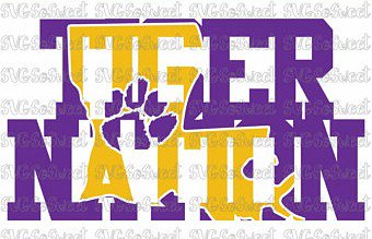 LSUDISCIPLE's profile banner image