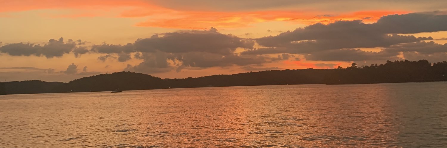 AungeliqueS's profile banner image
