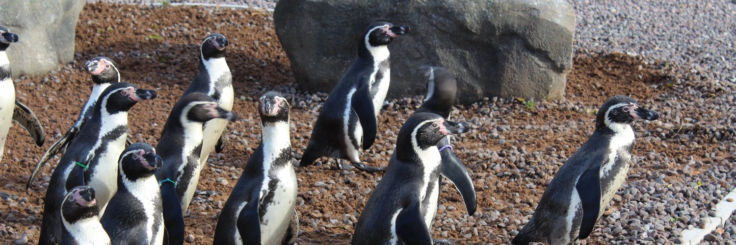 Exploris Aquarium banner