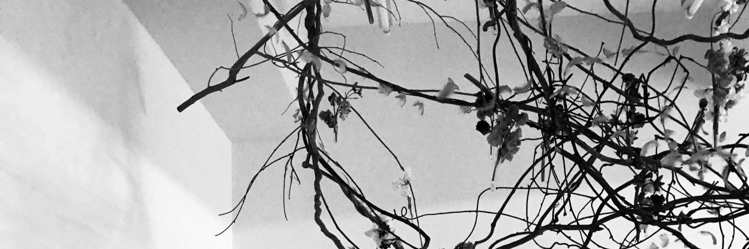 donalinha222's profile banner image