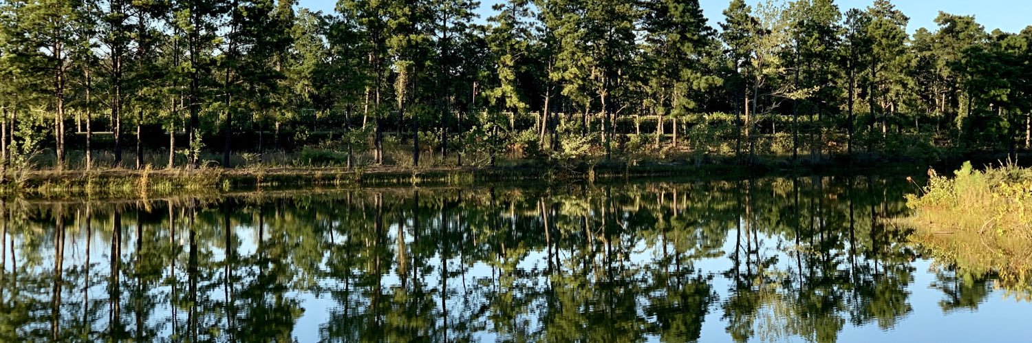 Stephen Eckhardt ☀️ banner