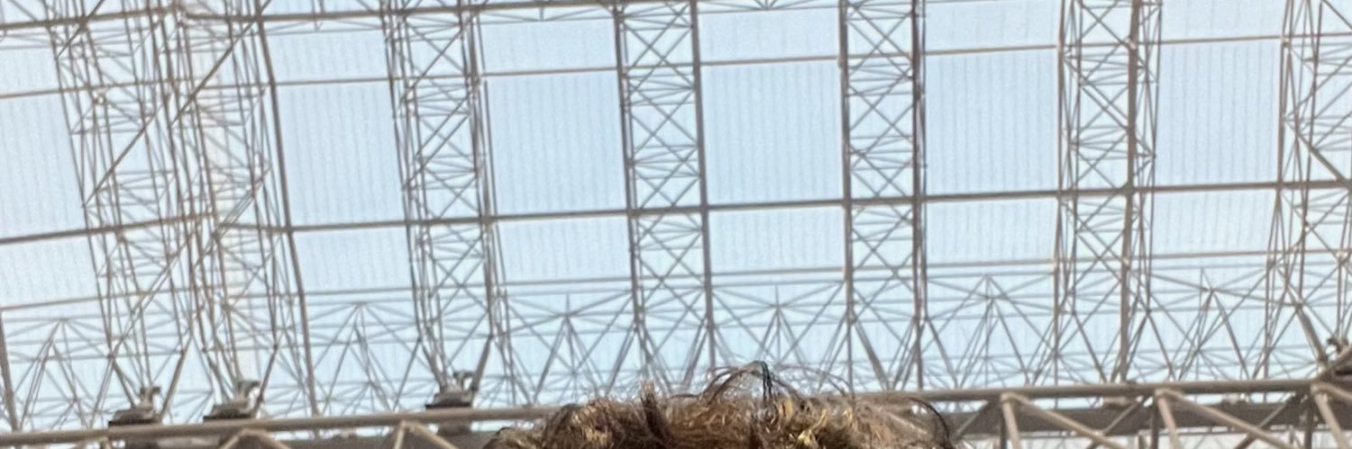 rebahanbentar's profile banner image