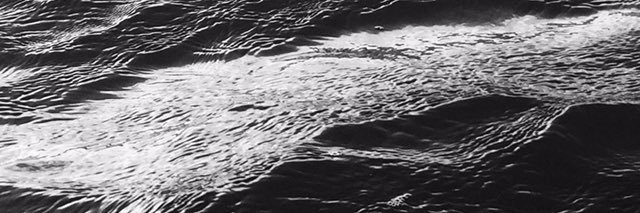 mlampo's profile banner image