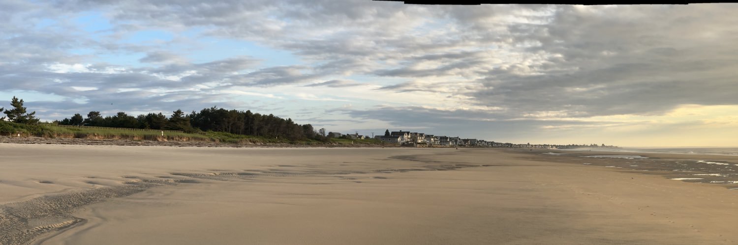 Hugo Stinnes banner