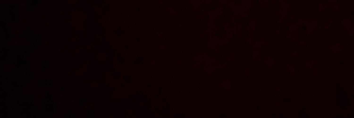 294archive's profile banner image