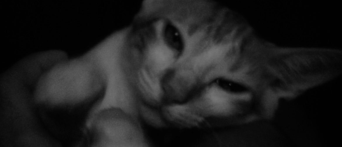 nathdahannah's profile banner image