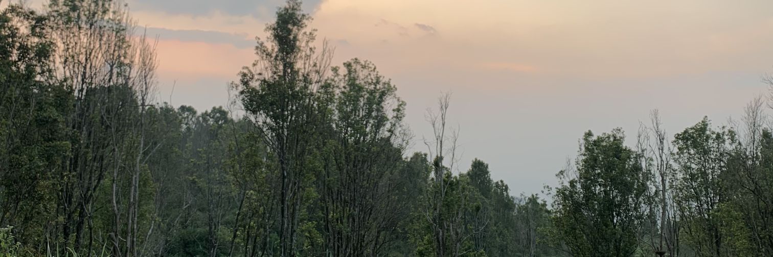 _istiiiii's profile banner image