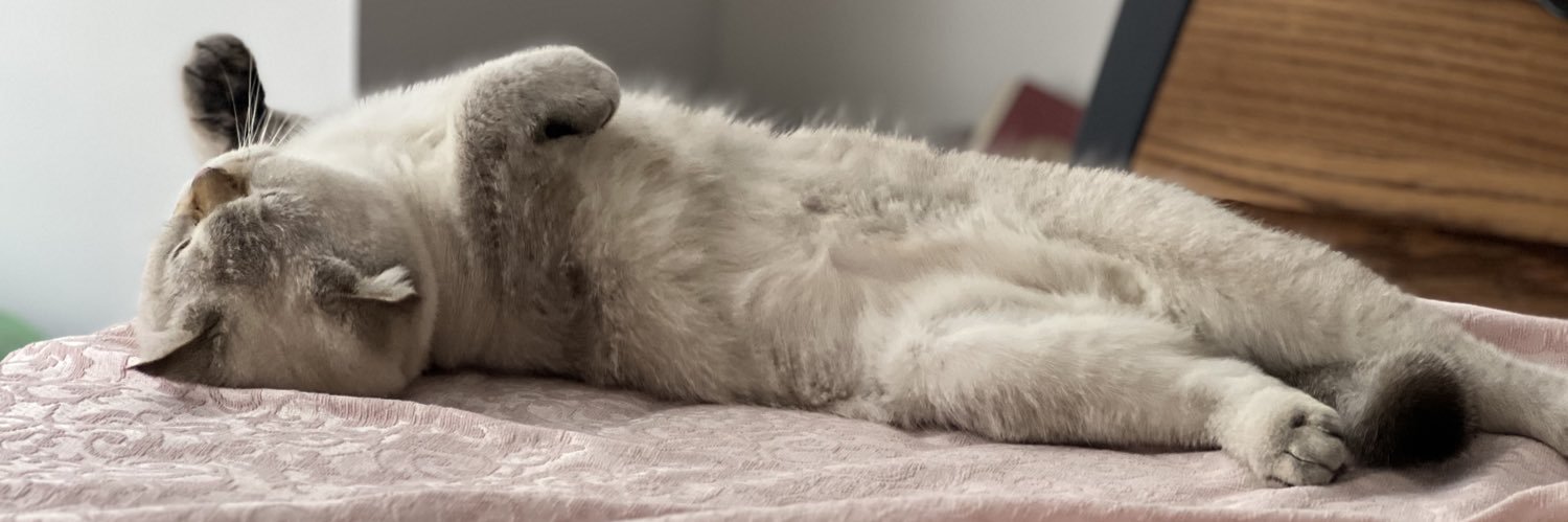 نفیسیلین بسدنی زاده جذاب لعنتی banner