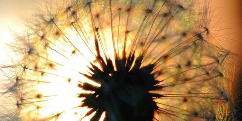lynedreyer's profile banner image