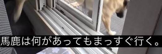 dobu_sabb's profile banner image