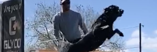 CofC_Coach_T Profile Banner