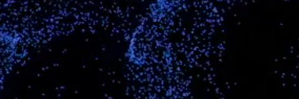 juliangay Profile Banner